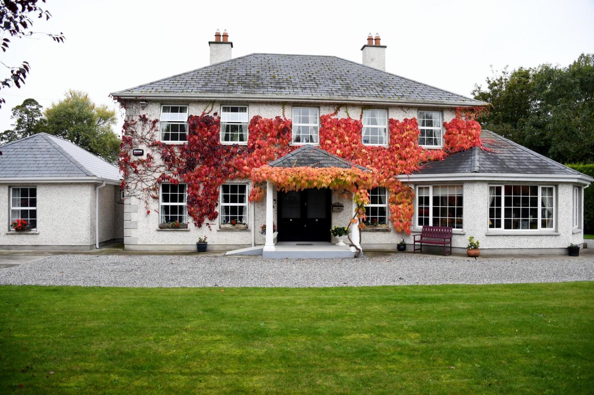 Orchard Grove Bed & Breakfast R21Rc58 Bagenalstown Exterior foto